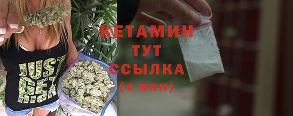 стафф Касимов