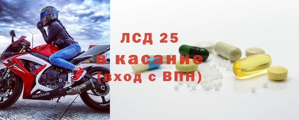 стафф Касимов