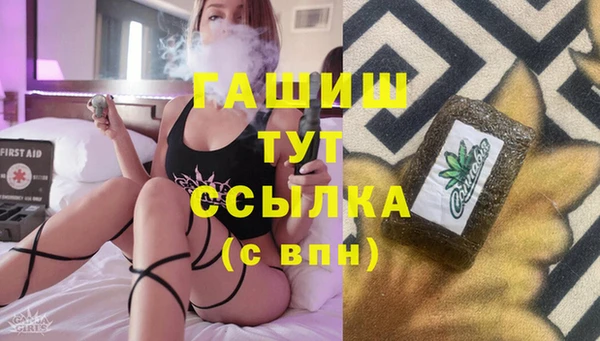 стафф Касимов