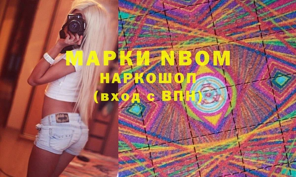 стафф Касимов