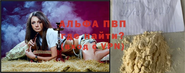 стафф Касимов