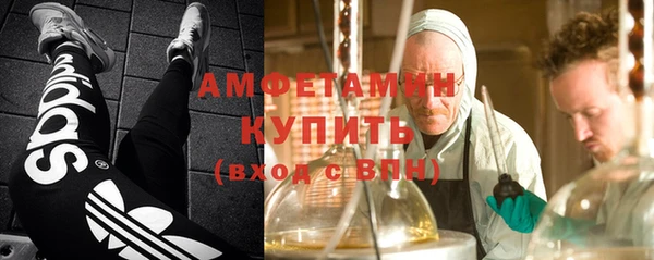 стафф Касимов