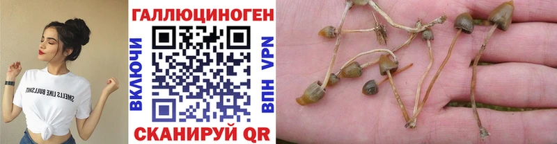 Галлюциногенные грибы Magic Shrooms  Купить где  Барыш 
